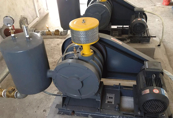 鼓風機電機為什么容易斷軸——西安泰富西瑪電機(西安西瑪電機集團股份有限公司)官方網(wǎng)站 鼓風機電機為什么容易斷軸——西安泰富西瑪電機(西安西瑪電機集團股份有限公司)官方網(wǎng)站